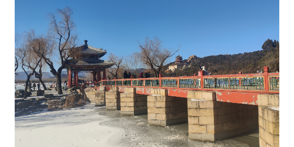 【郭洪林诗词】立春一一大地馈赠的第一抹温柔