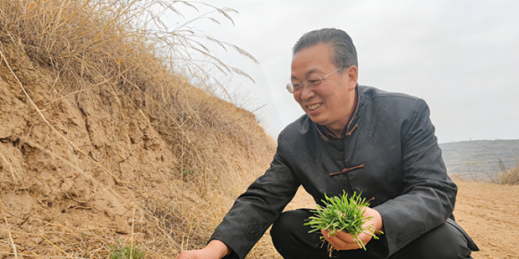 【洛沙随笔】跟上姚选富识百草之一百零六：苍术藏岐黄