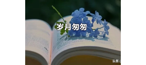 【徐东风诗歌】如果岁月能回头