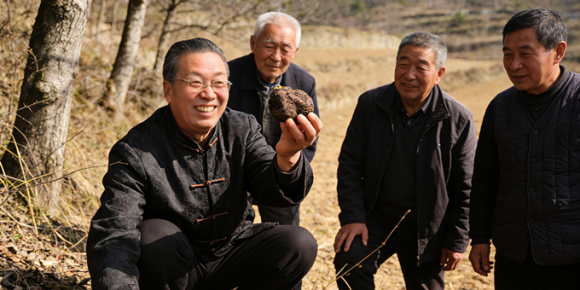【洛沙随笔】跟上姚选富识百草之一百零七：田埂识苓