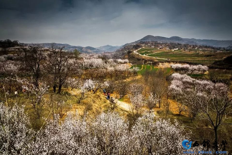 杏花谷绝美风景