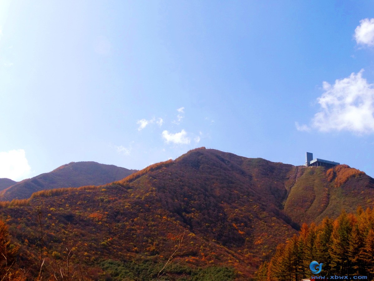 风景独好7