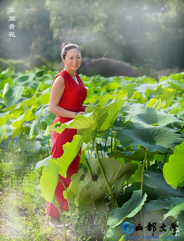 雾里看花