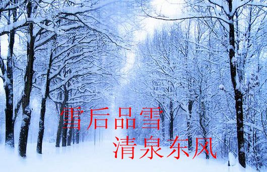 品雪.jpg