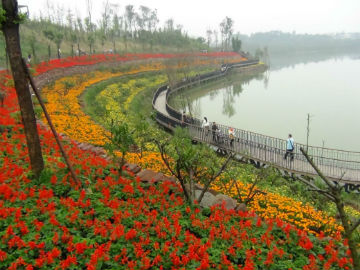 湖边的鲜花2.jpg