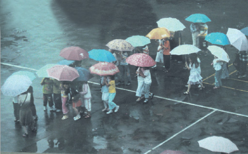 雨中.jpg