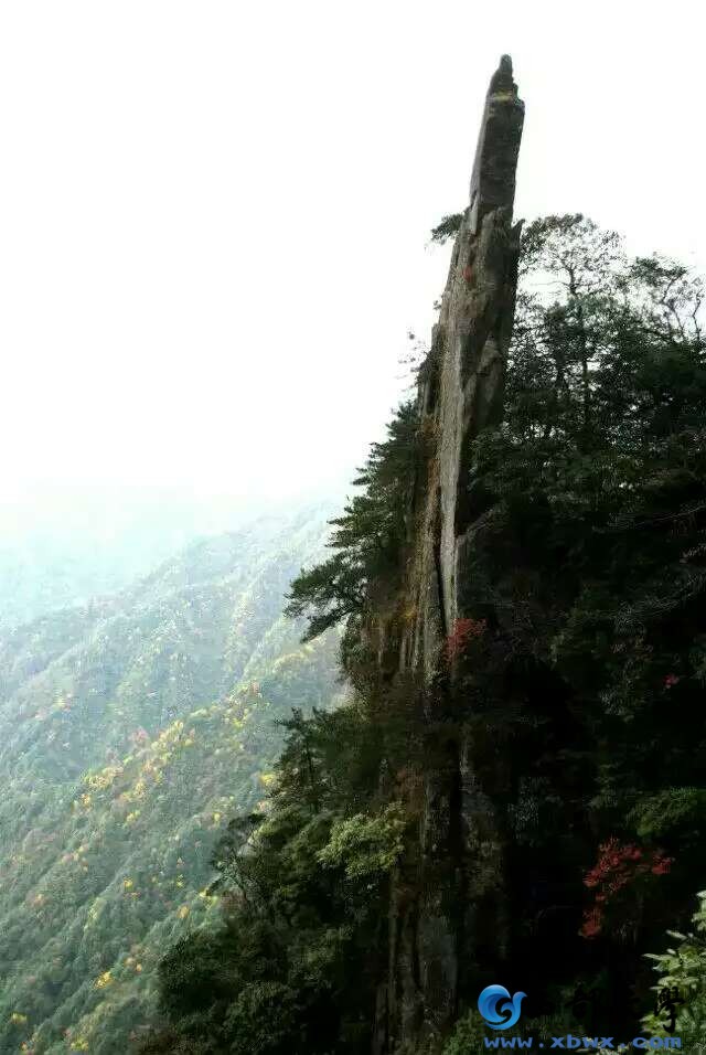 金秋的羊狮慕