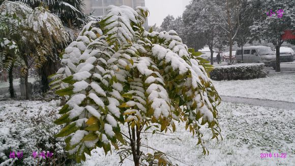 小雪1.jpg