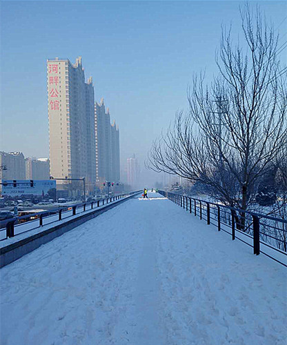 沈阳大雪_副本.jpg