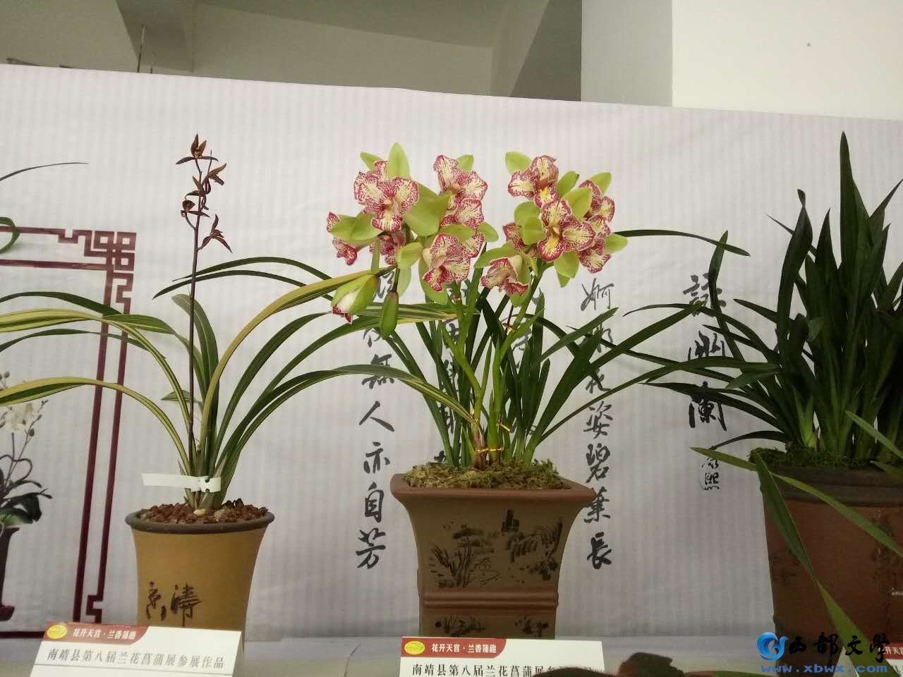 青花瓷5.jpg