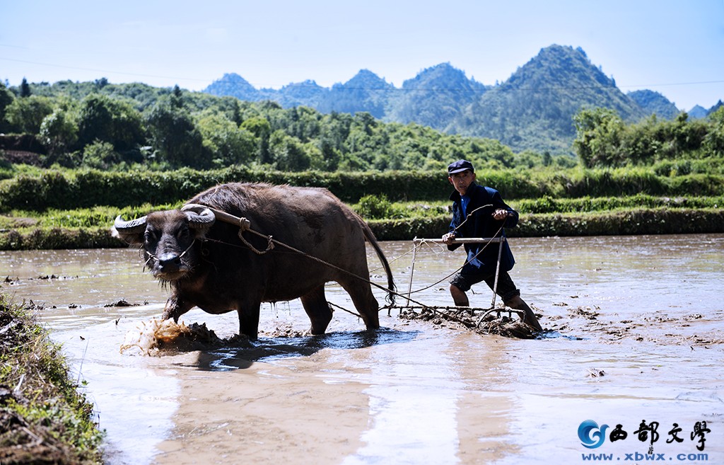 犁耙水响.jpg