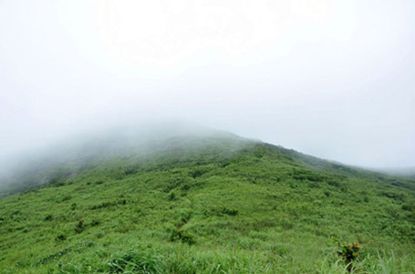 心雨蔓烟_副本.jpg