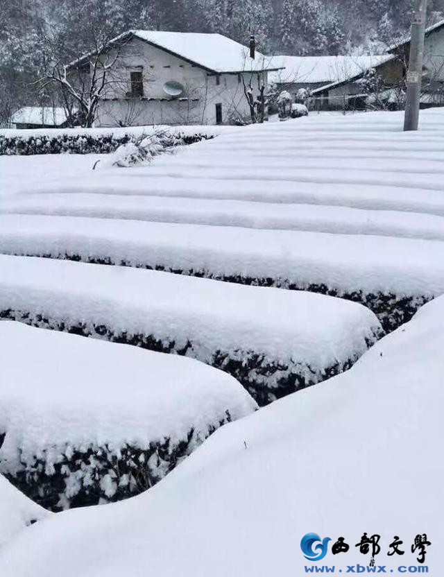 雪.jpg