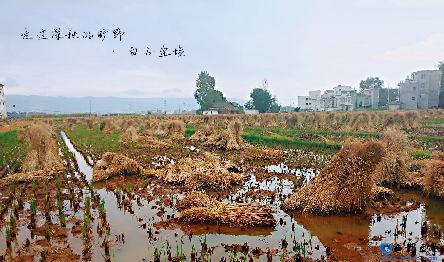 微信图片_20191019105303.jpg